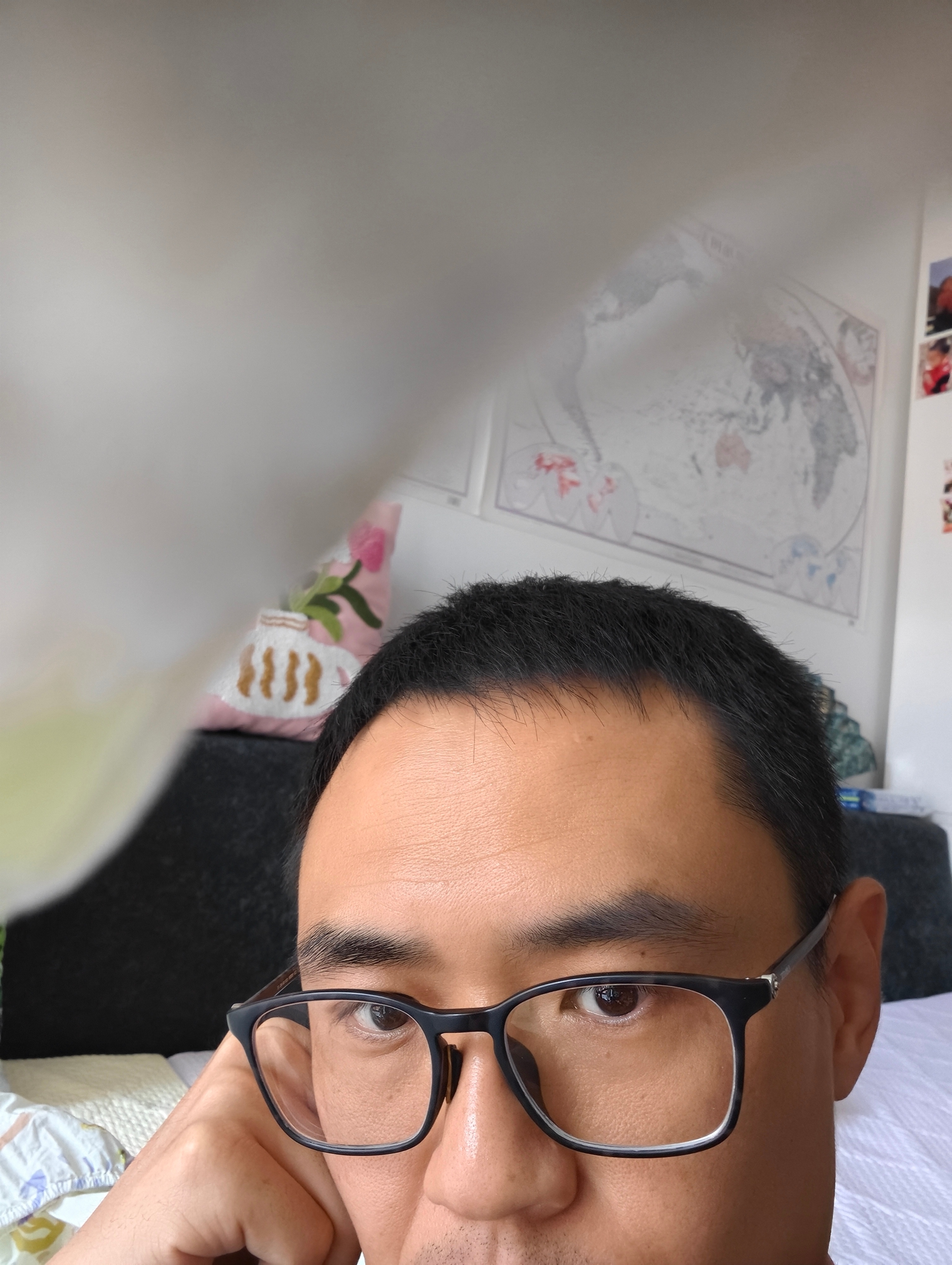 鹦鹉喜欢站在手机上，是一种什么习性？鹦鹉小蓝和布丁 ​​​