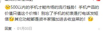 深入剖析，若将视角聚焦于500元价格区间内的设备，便会发现一个微妙而引人深思的现