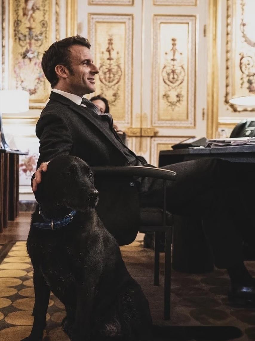 马克龙狠批美国，没留一点情面！
法国总统马克龙发出严厉警告：美国正逐渐疏远部分盟