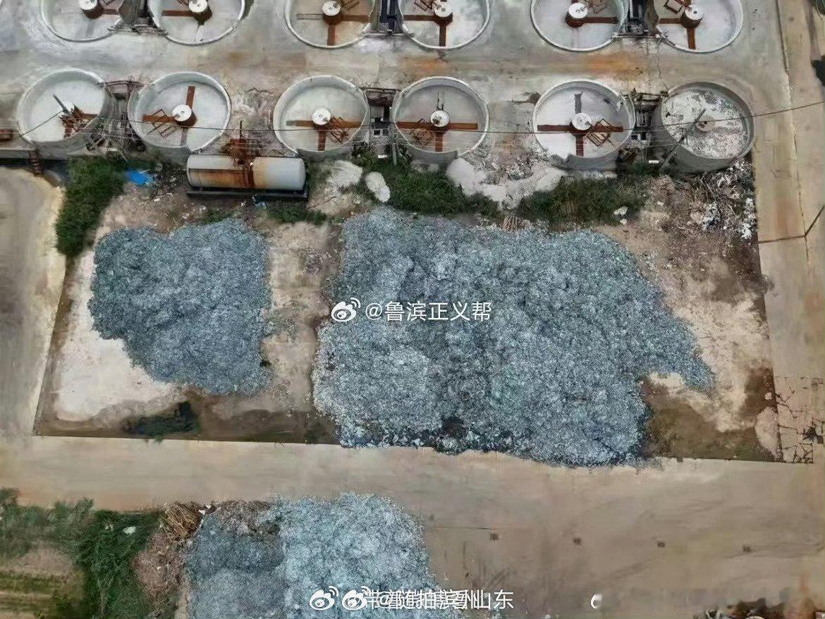 环境保护 网友爆料：滨州博兴县兴福北工业园污水处理厂东临，一明胶厂生产原材料露天