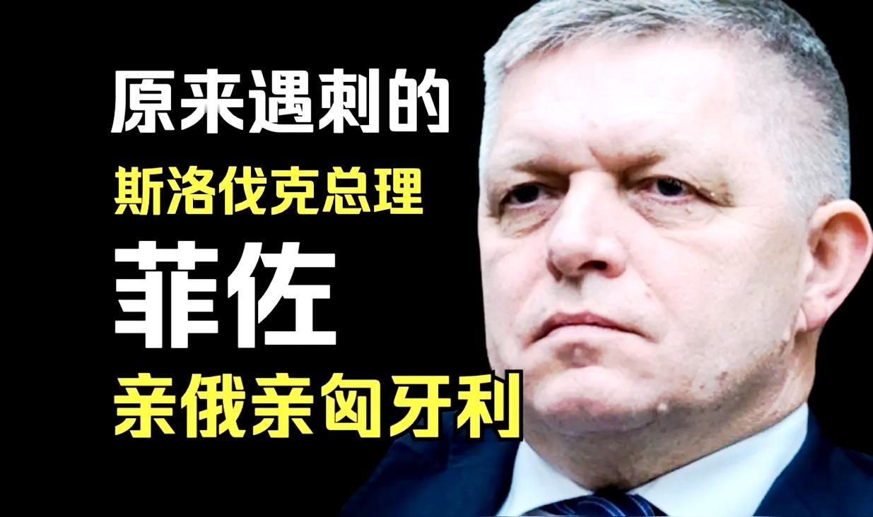 “9.3”大阅兵，斯洛伐克总理罗伯特·菲佐，成为唯一一位出席的欧盟和北约成员国领