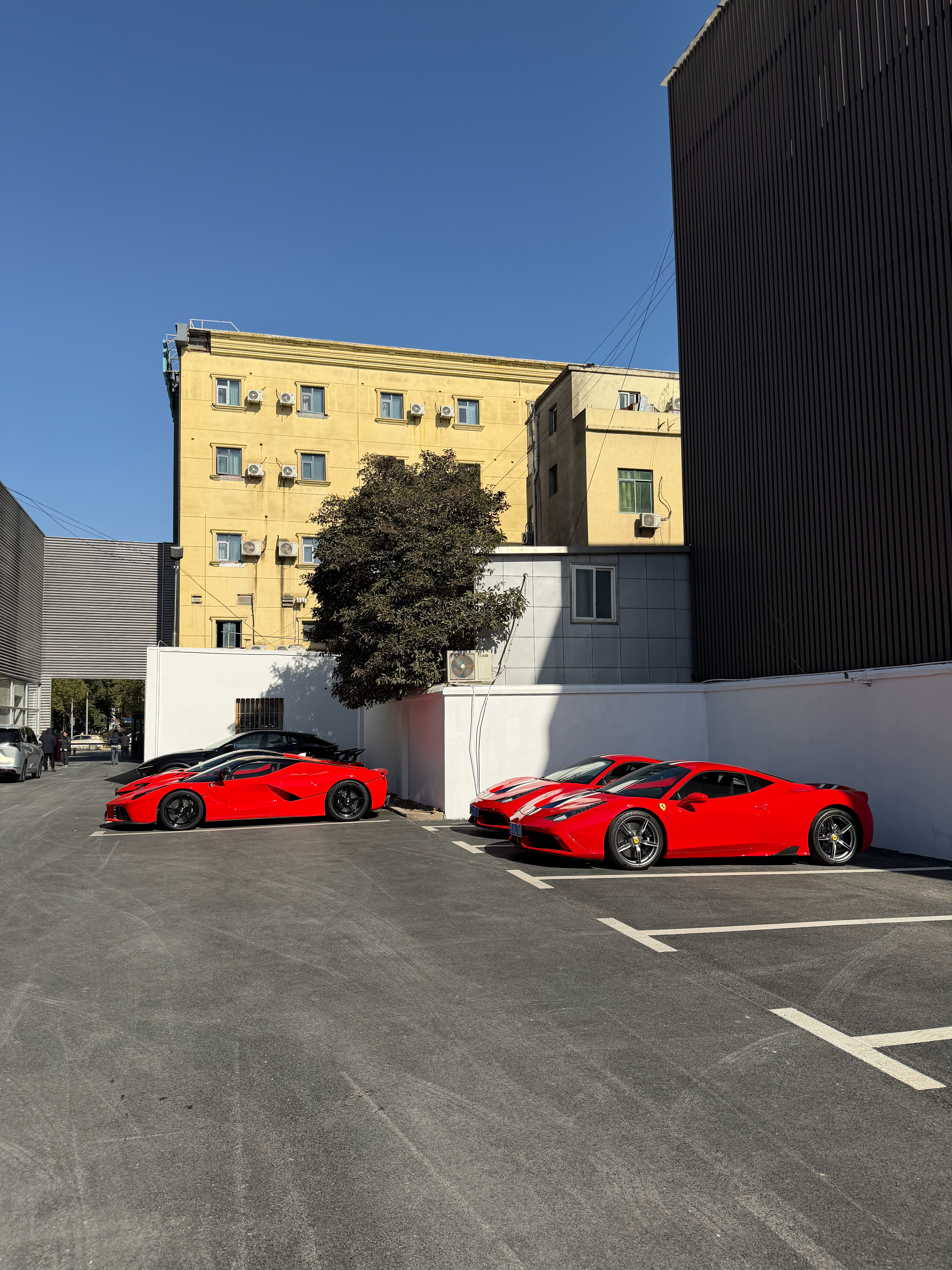 周日早上看到这个场景，有点过于梦幻了