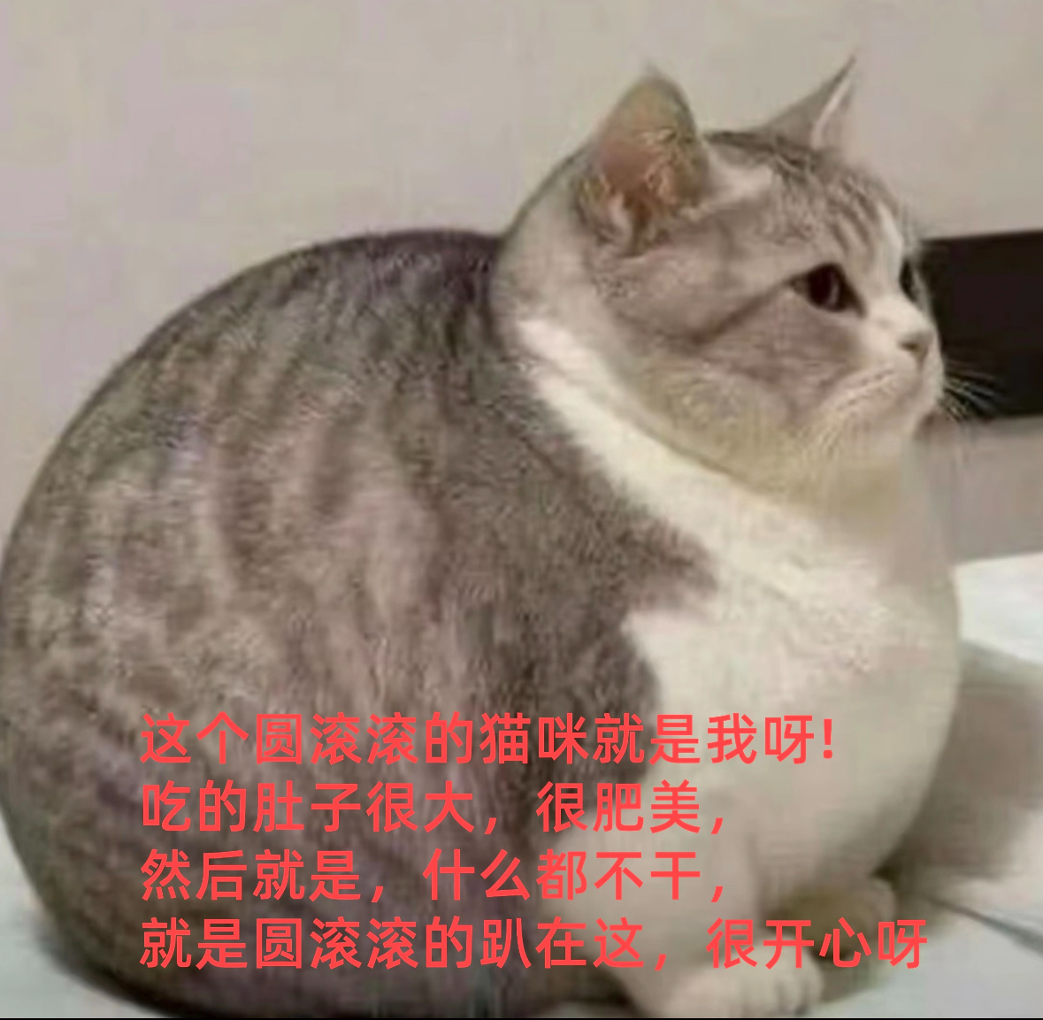 老公 