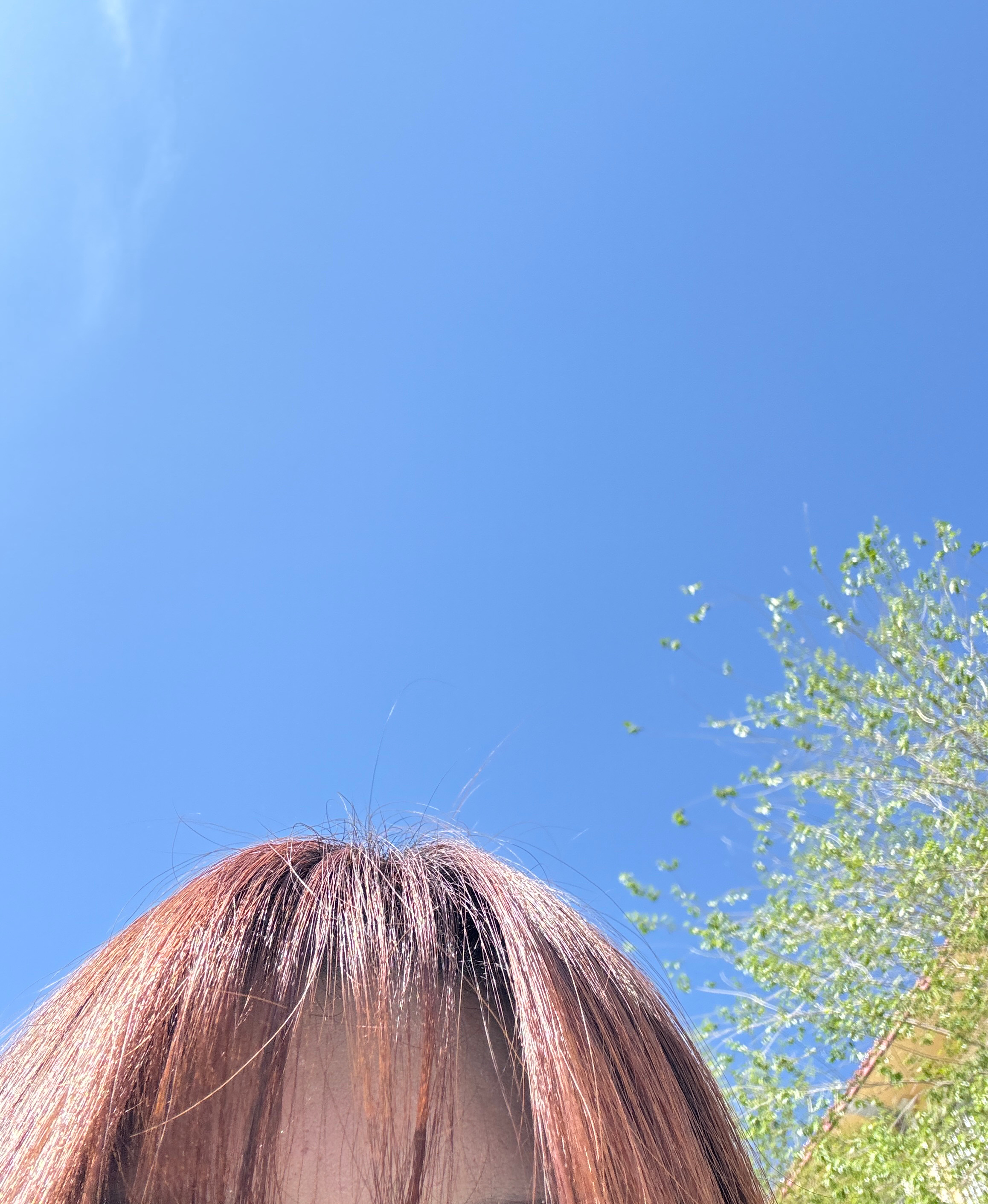 阳光正好 ​​​