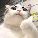 养性谈谈影视剧