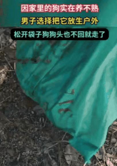 泪目！某地一男子养狗久了始终不亲近，实在养不熟，就把狗装进绿麻袋带到野外放生，松