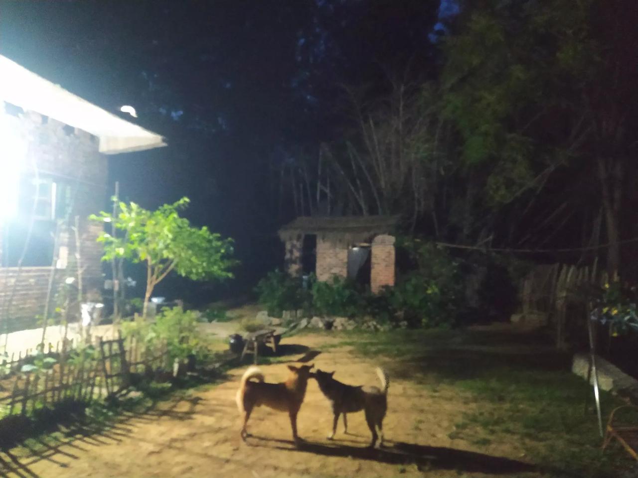 我的山居小院

当暮色漫过竹篱时

对面山头便暗了下来

当树影下沉，叠成墨色的