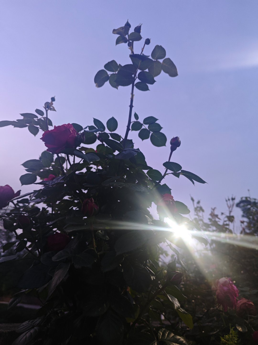 你不努力，谁也给不了你想要的生活，晚安😴😴😴😴我的日常plog 重庆·重