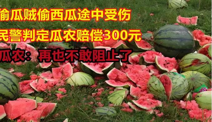 河南，大妈开着三轮车去偷西瓜，被瓜农发现后，大妈赶紧逃跑，却擦破了膝盖，反而报警
