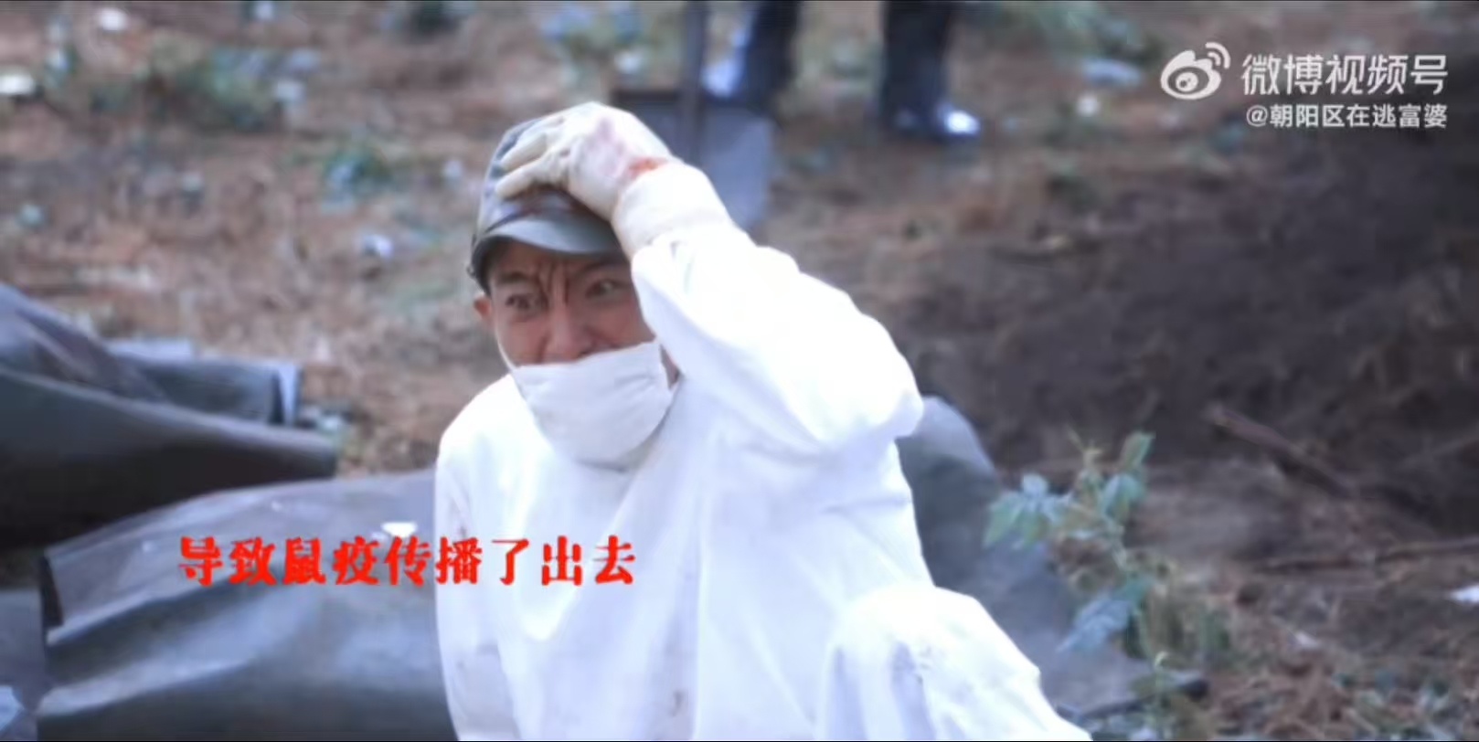 多一个人观看历史就多一个证人 👖热播的《反人类暴行》，镜头满是极致美学。202