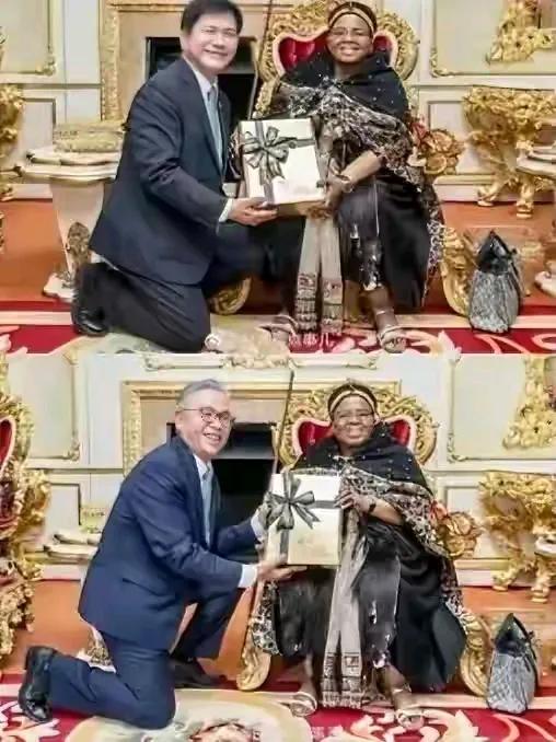 这是哪两位台湾人卑躬屈膝地跪在，斯威士兰国王母亲面前，难道这就是对等尊严吗？这么