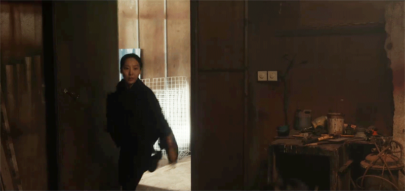 曲姐我就知道，我第一眼看你就爱上了你，原来是主人向我发出的信号[悲伤] 