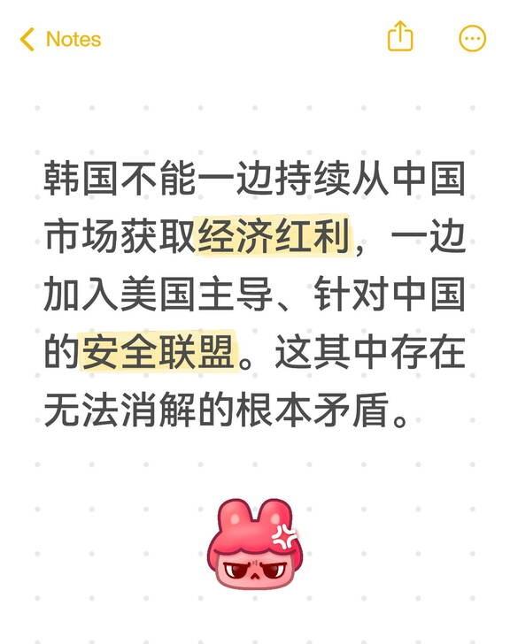 韩国不能一边持续从中国市场获取经济红利，一边加入美国主导、针对中国的安全联盟。这