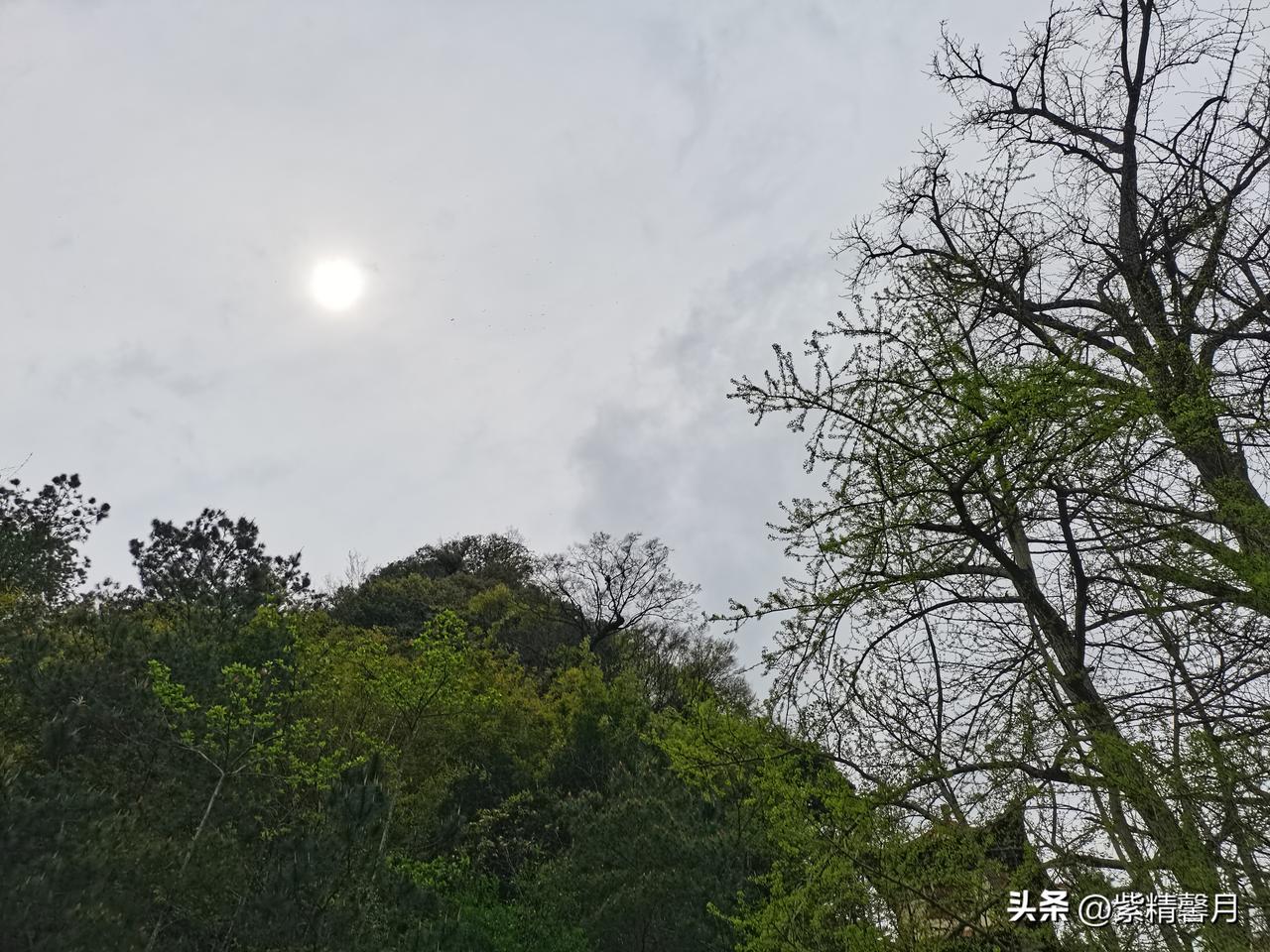 钱没了可以再赚，东西旧了可以再换，身边的人来了又走，连回忆都会慢慢变淡。
但你读