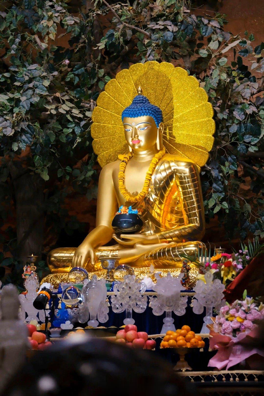 今年刚结婚，正在备孕中，看看近几年怀孕生育宝宝几率有多大，哪年哪月适合怀孕，是男