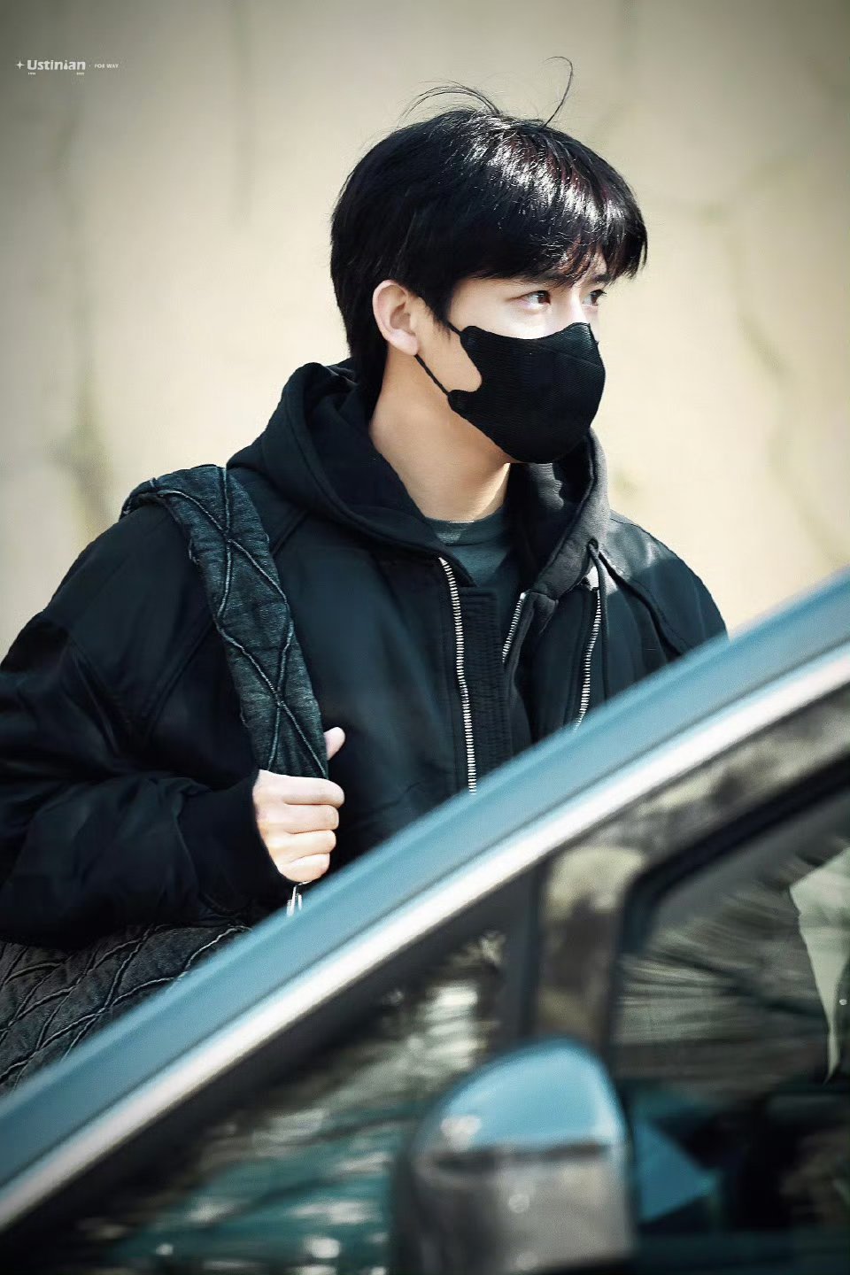 去年今日参加春晚联排的一个王安宇，完全是顺毛乖乖