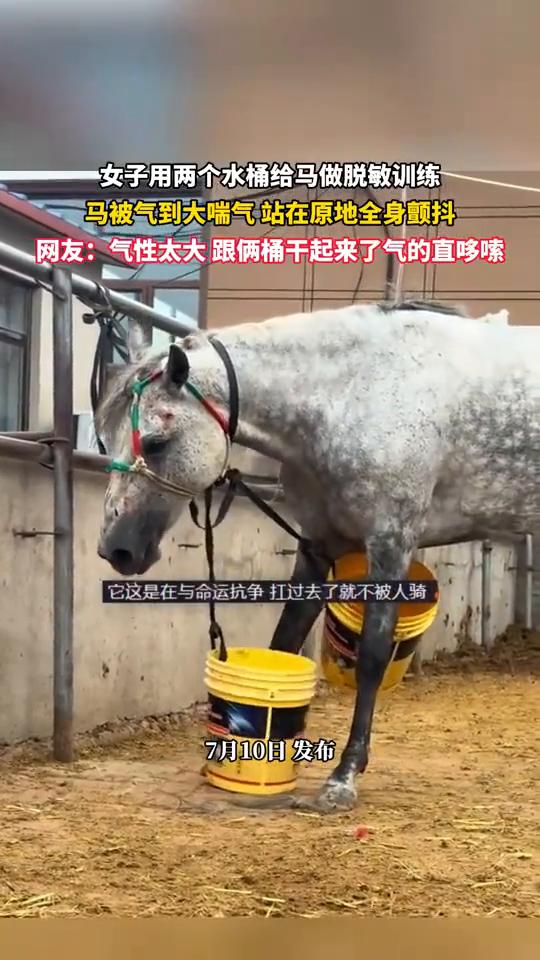 有这马，人家养的。