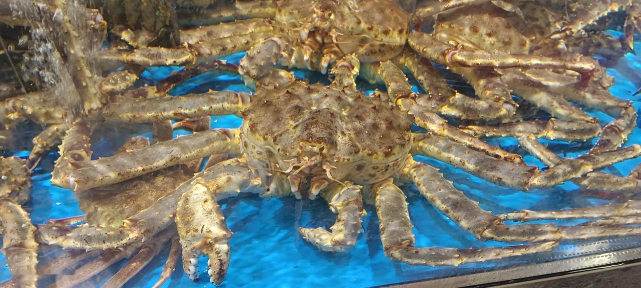 家人们谁懂啊！海鲜市场那现捞活蟹，简直是人间美味的天花板！之前去市场，那一只只螃