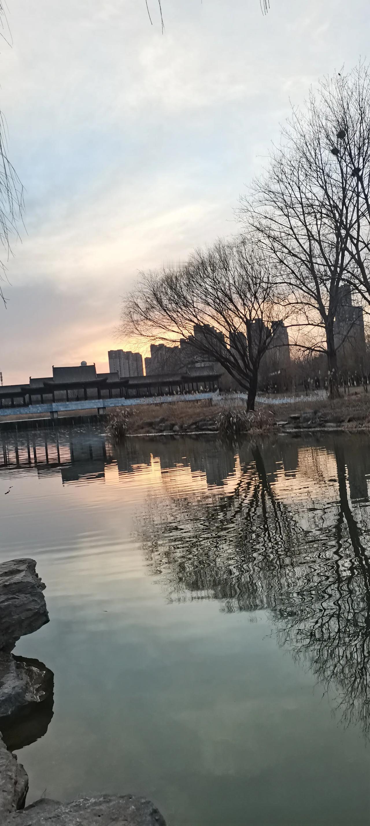 郑州西流湖真的是个宝藏地方。
刚过完正月十五的西流湖公园南园，崖壁上看下去景色美