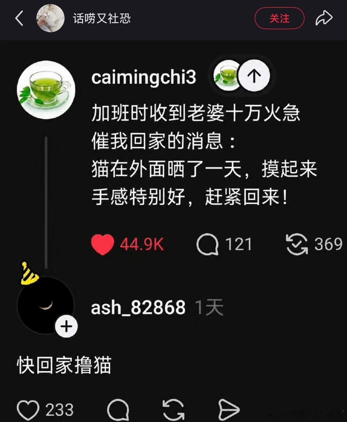 最佳小猫味赏味期可不能错过～ 