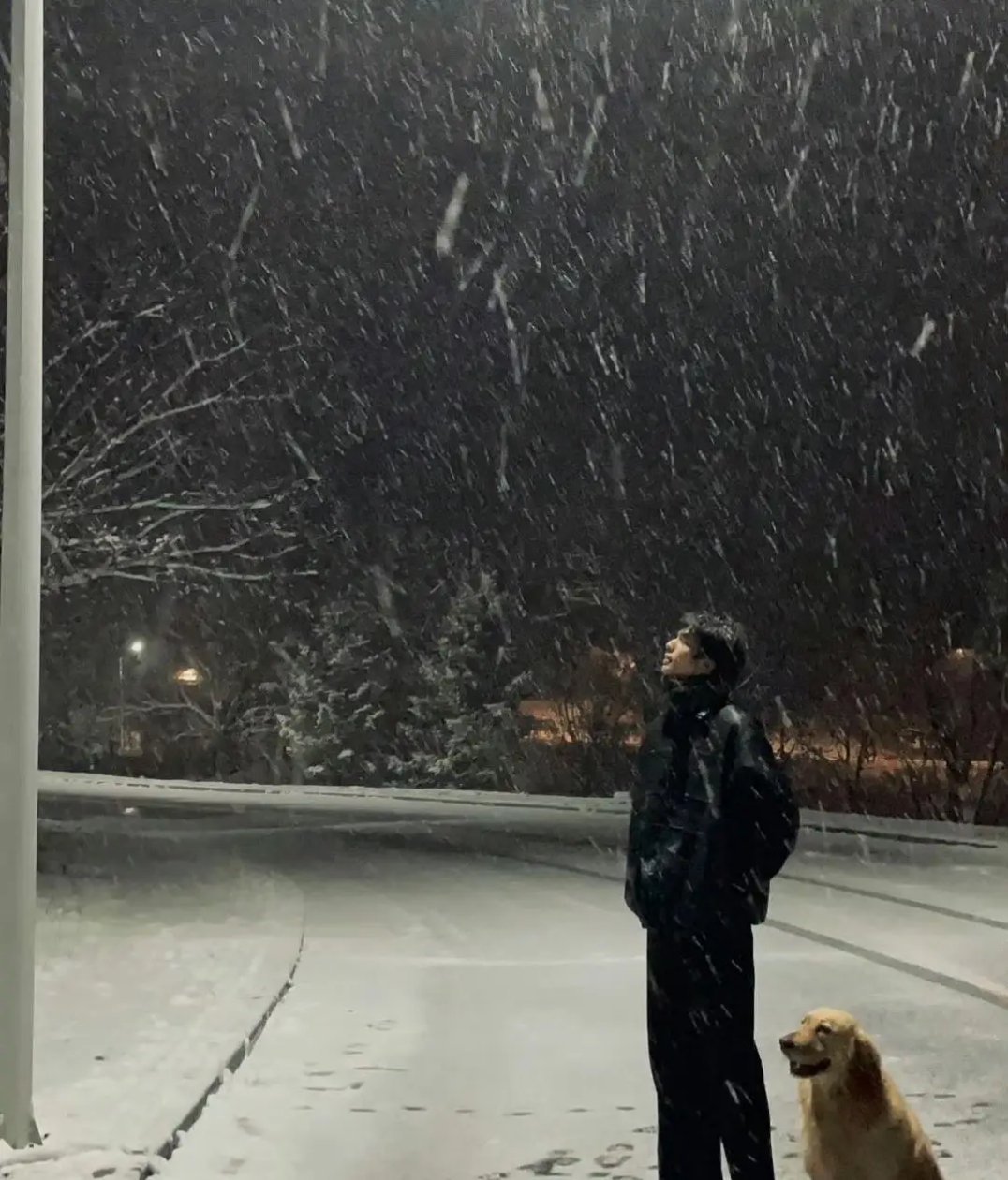 宋威龙下雪了雪景让我想到骄阳似我