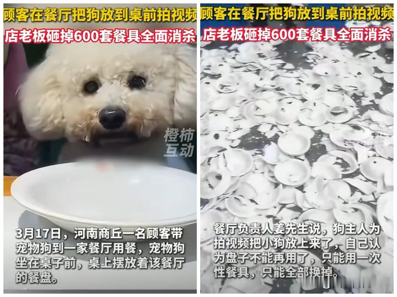 这种表演式行为，有几分诚意？顾客带狗上餐桌，饭店老板怒砸600套餐具，门店停业消