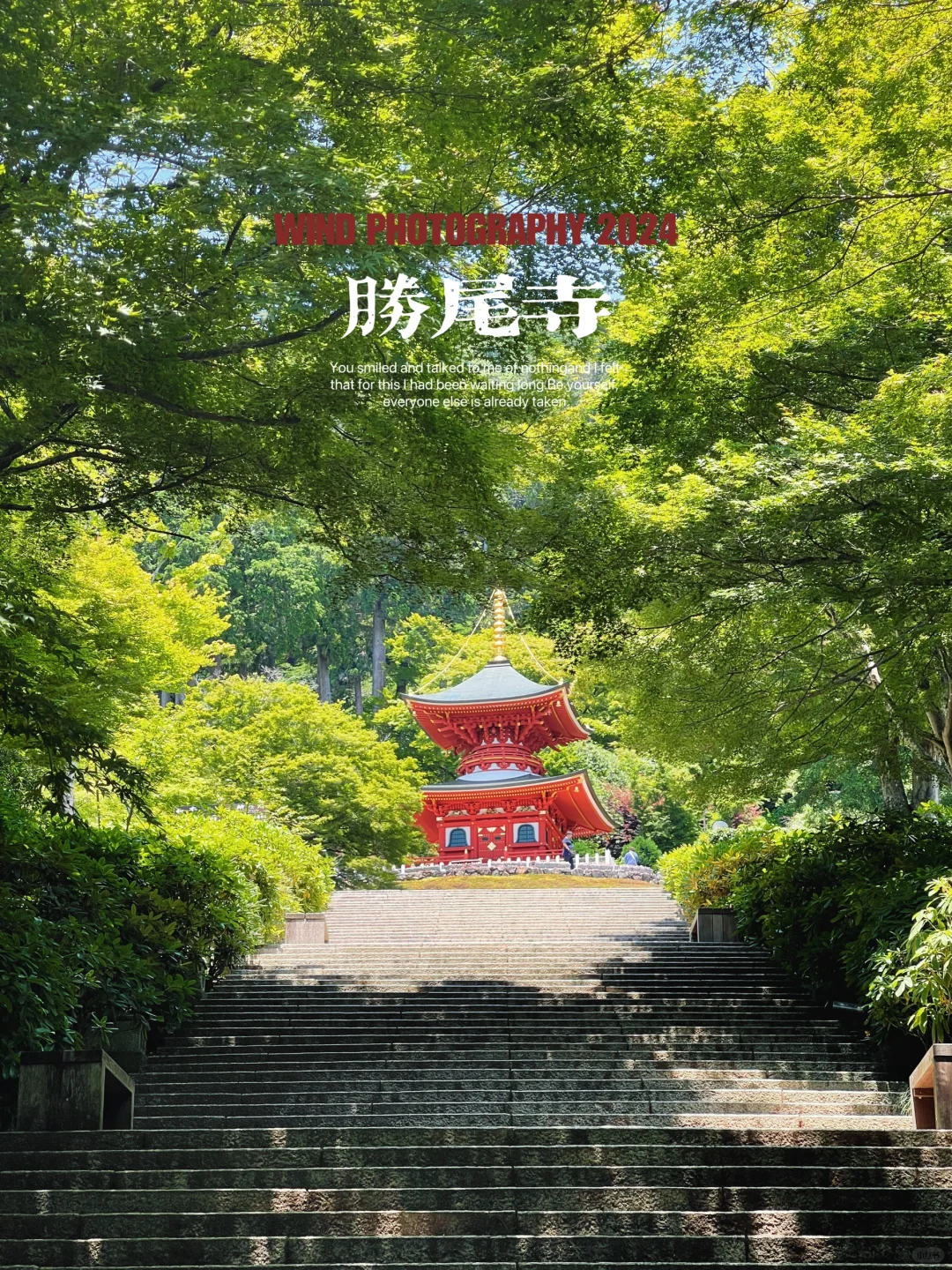 大阪胜尾寺⛩️“闯入”达摩的世界