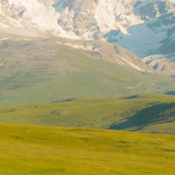 正能量以善待人，并不是委屈自己成全别人的讨好，也不是任人摆布的软弱，而是发自内心