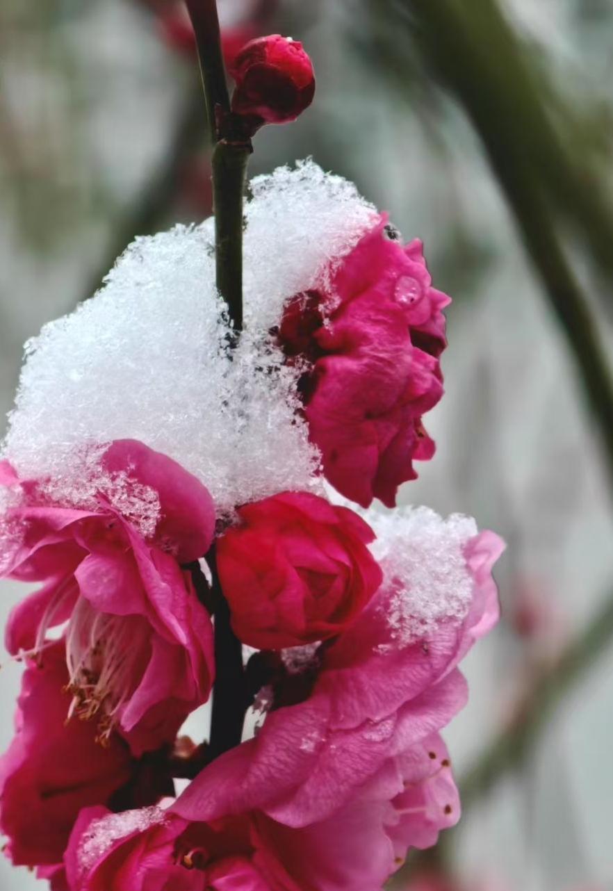 前阵子刷短视频，总刷到些“躺赢”的故事：有人出生就在罗马，不用奋斗就有花不完的钱