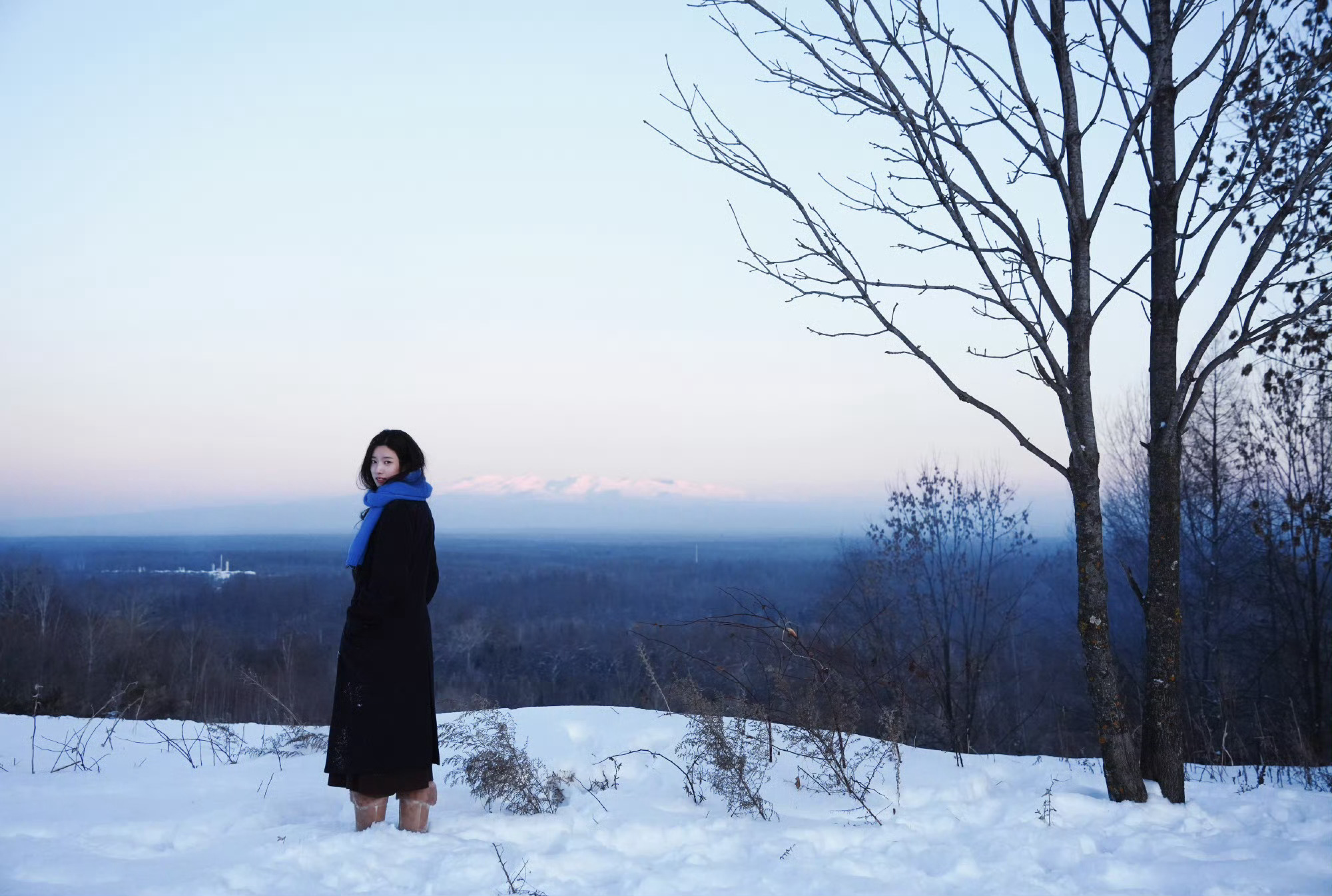 卢昱晓存在于冬天的白桦树卢昱晓卢昱晓