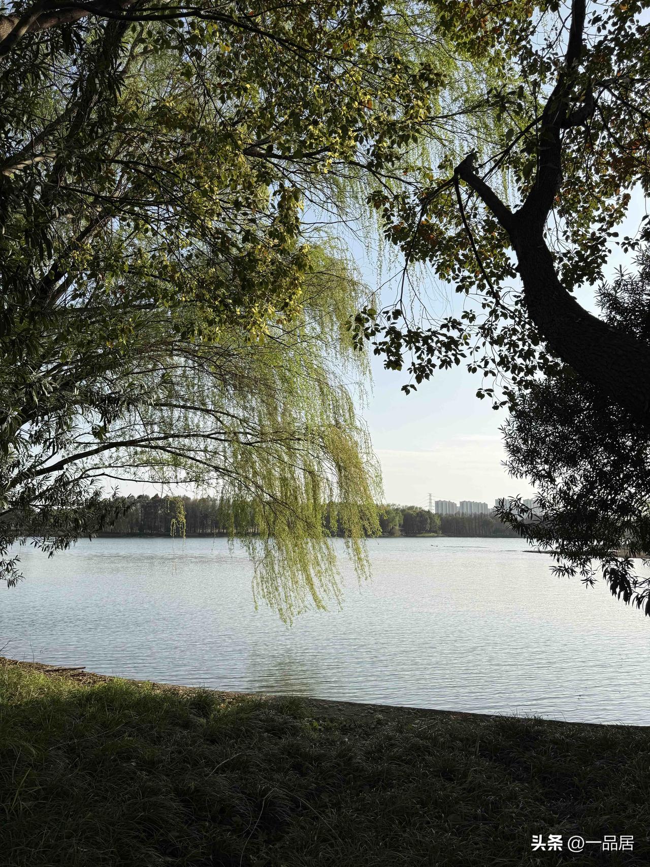 苏州不愧是世界旅游胜地，随便一个公园，逛一天都逛不完。繁花似锦、草长莺飞、风景真
