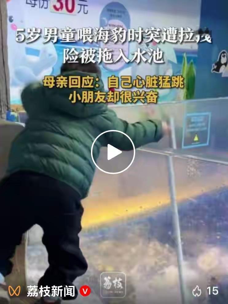 安徽合肥海洋世界出了个惊险事儿！5岁男童喂海豹，第二次妈妈没扶着，海豹突然咬着食