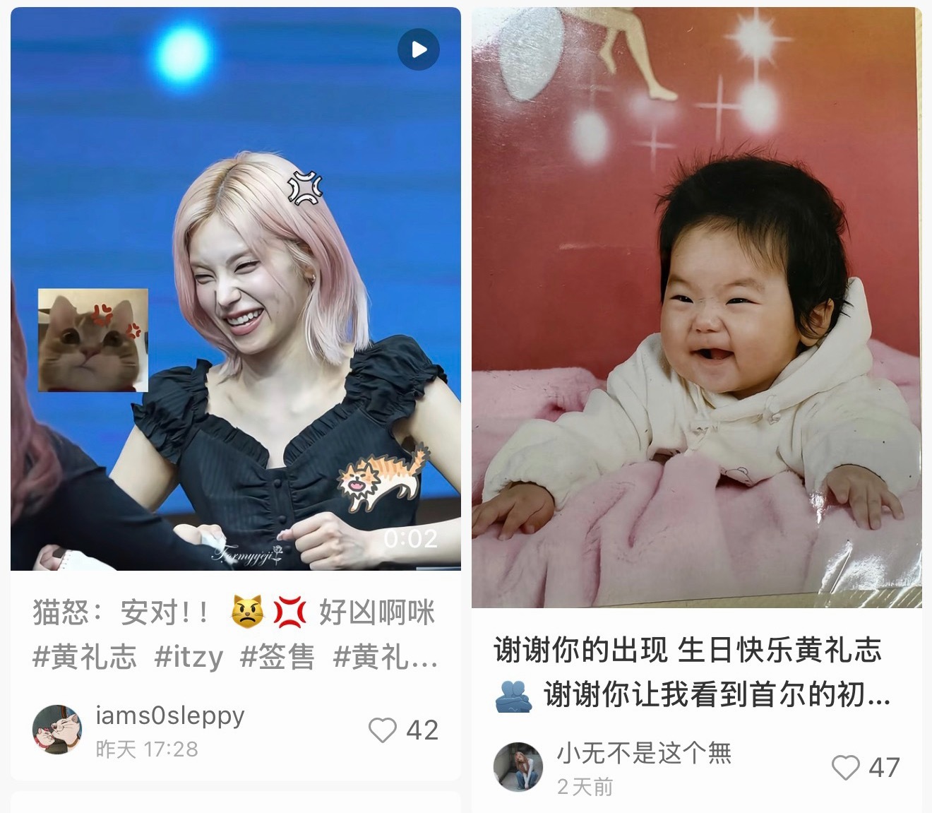 这个小红书是懂排版的 