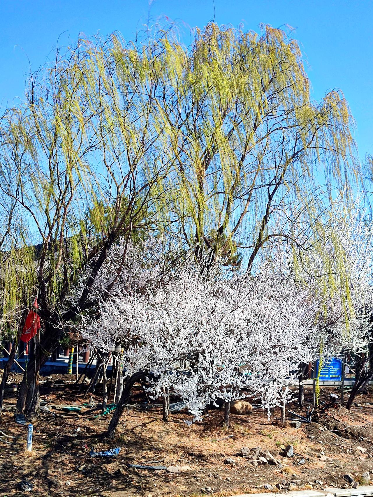 舍利塔滩地公园景色一观
   位于沈阳市塔湾街的，舍利塔滩地公园，是一座融合了千