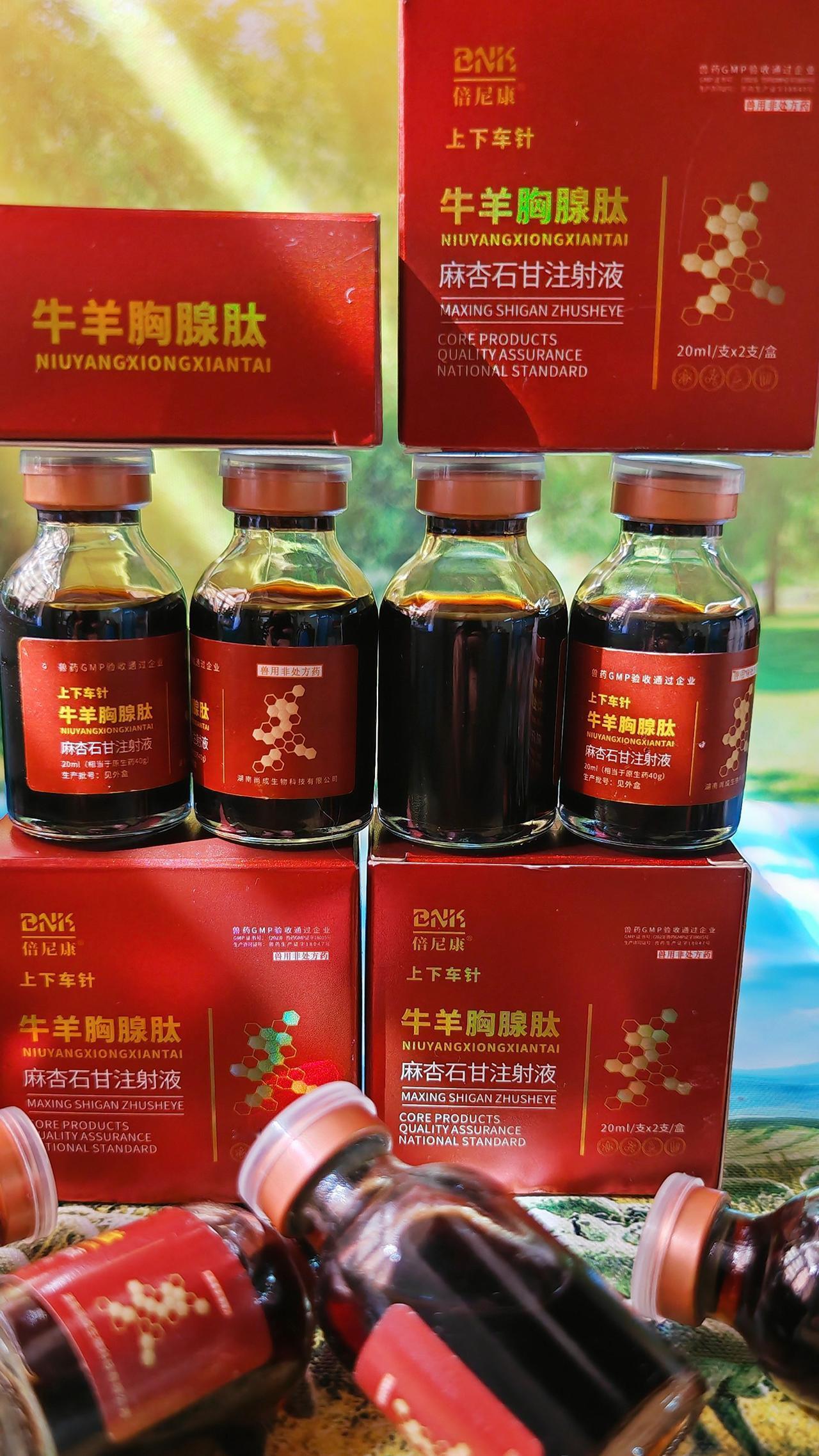 养羊人 农村养羊 牛羊养殖