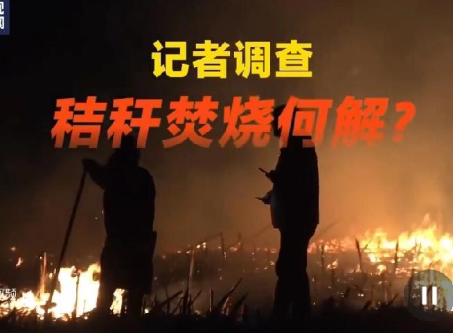 焚烧秸秆，究竟是污染环境。还是给虫害留下一席之地。这种综合危害性应该重新定论。