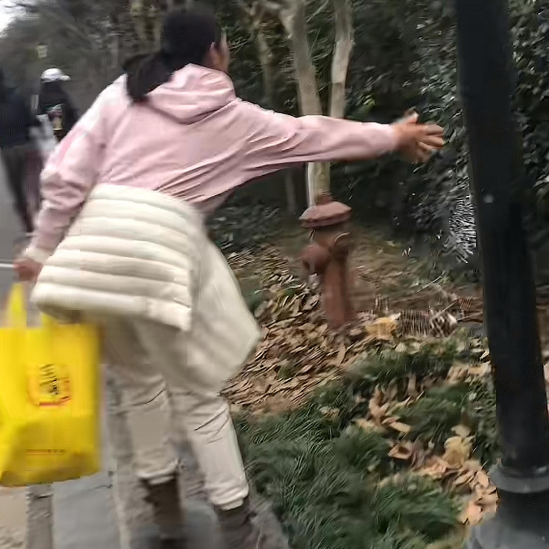 岳麓山景区有人撒白色不明物体?景区回应:游客在用面包屑和馒头片投喂小动物丨求真