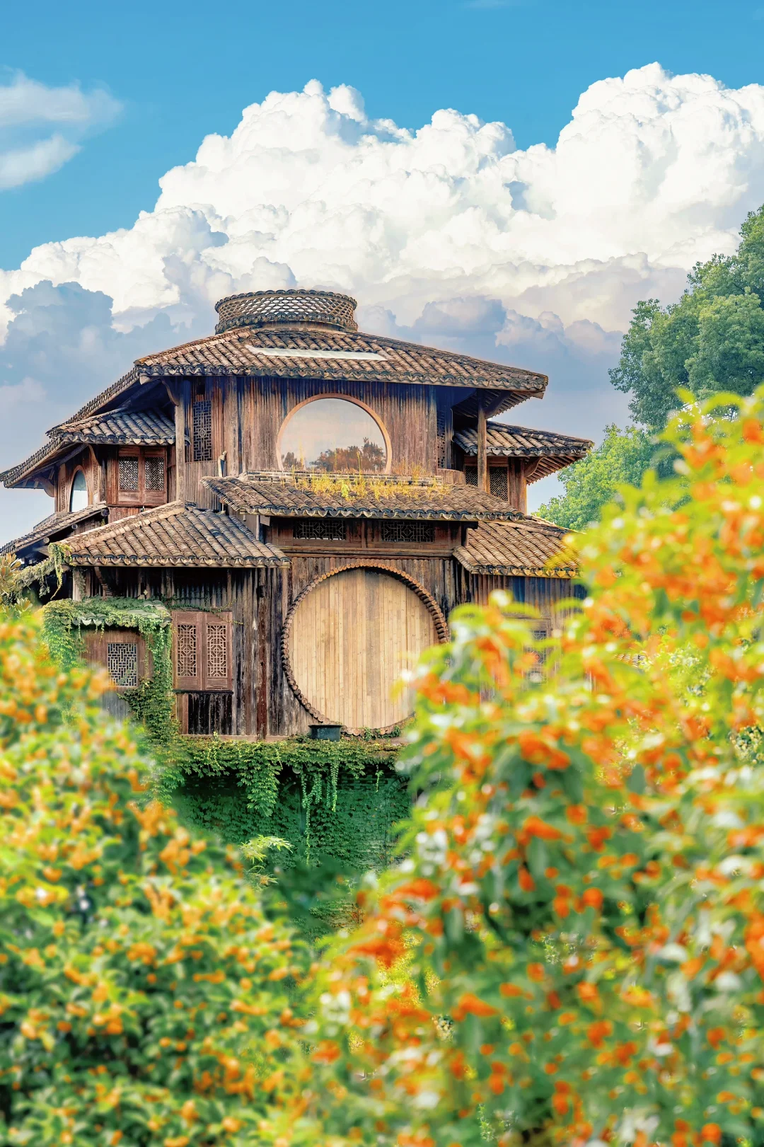 杭州桂花开了，第一次来我推荐这条赏桂路线