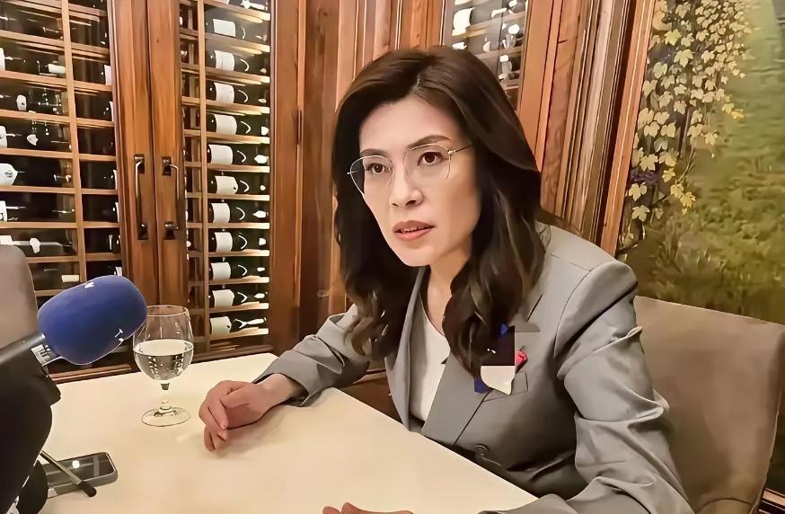 郑丽文危言耸听，宣嚣战争恐怖论：大陆一旦动武，一定会引爆第三次世界大战。

这场