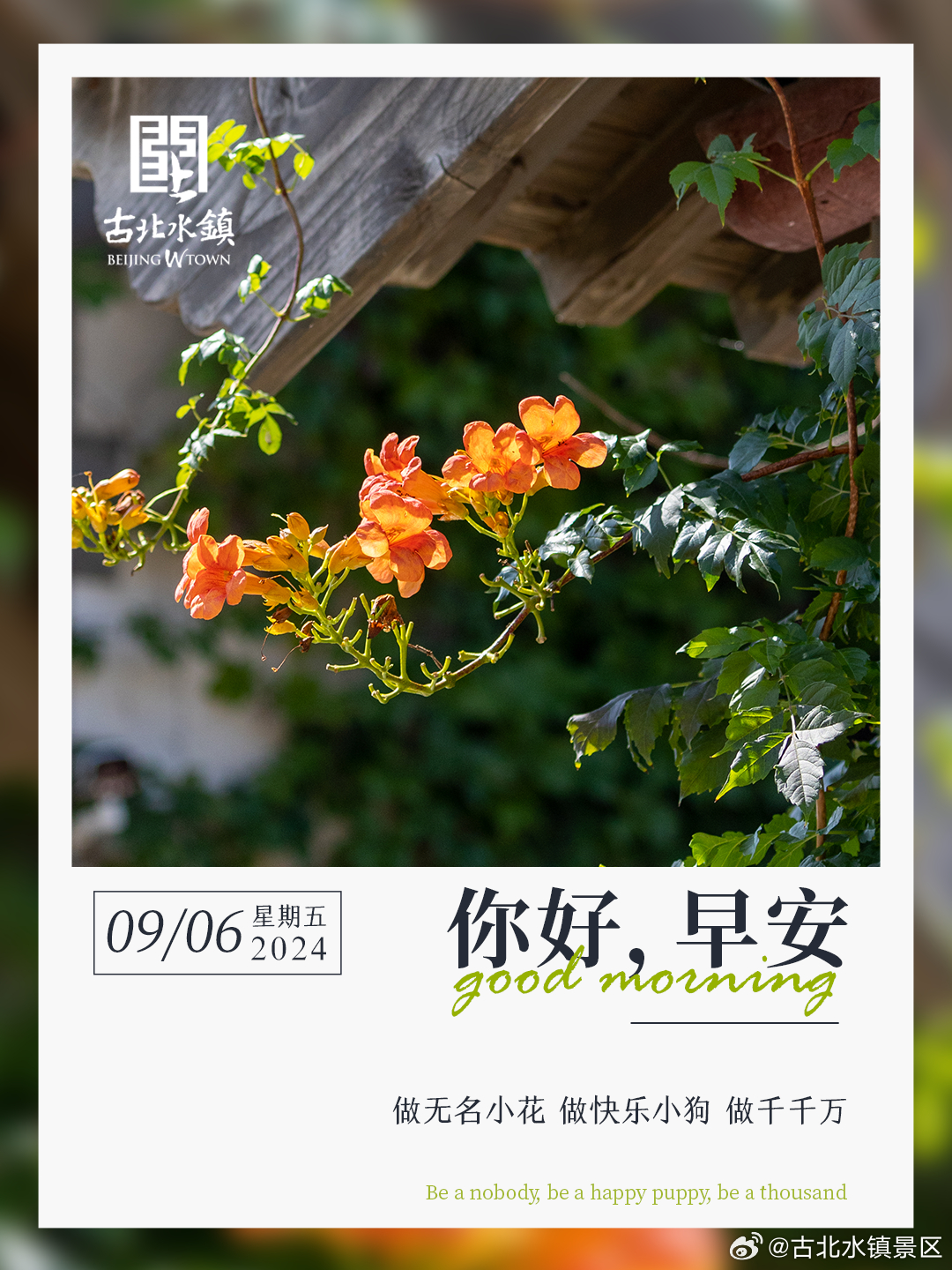 做无名小花 做快乐小狗 做千千万早安，宝子们~ ​​​