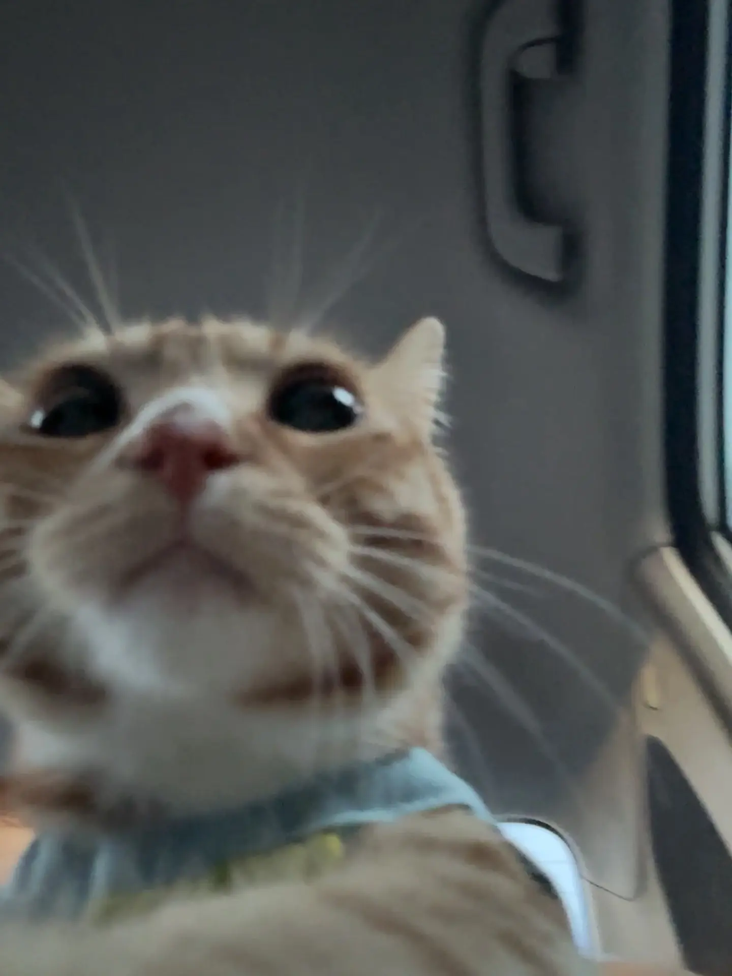 亲爱的 打败悲观通往幸福