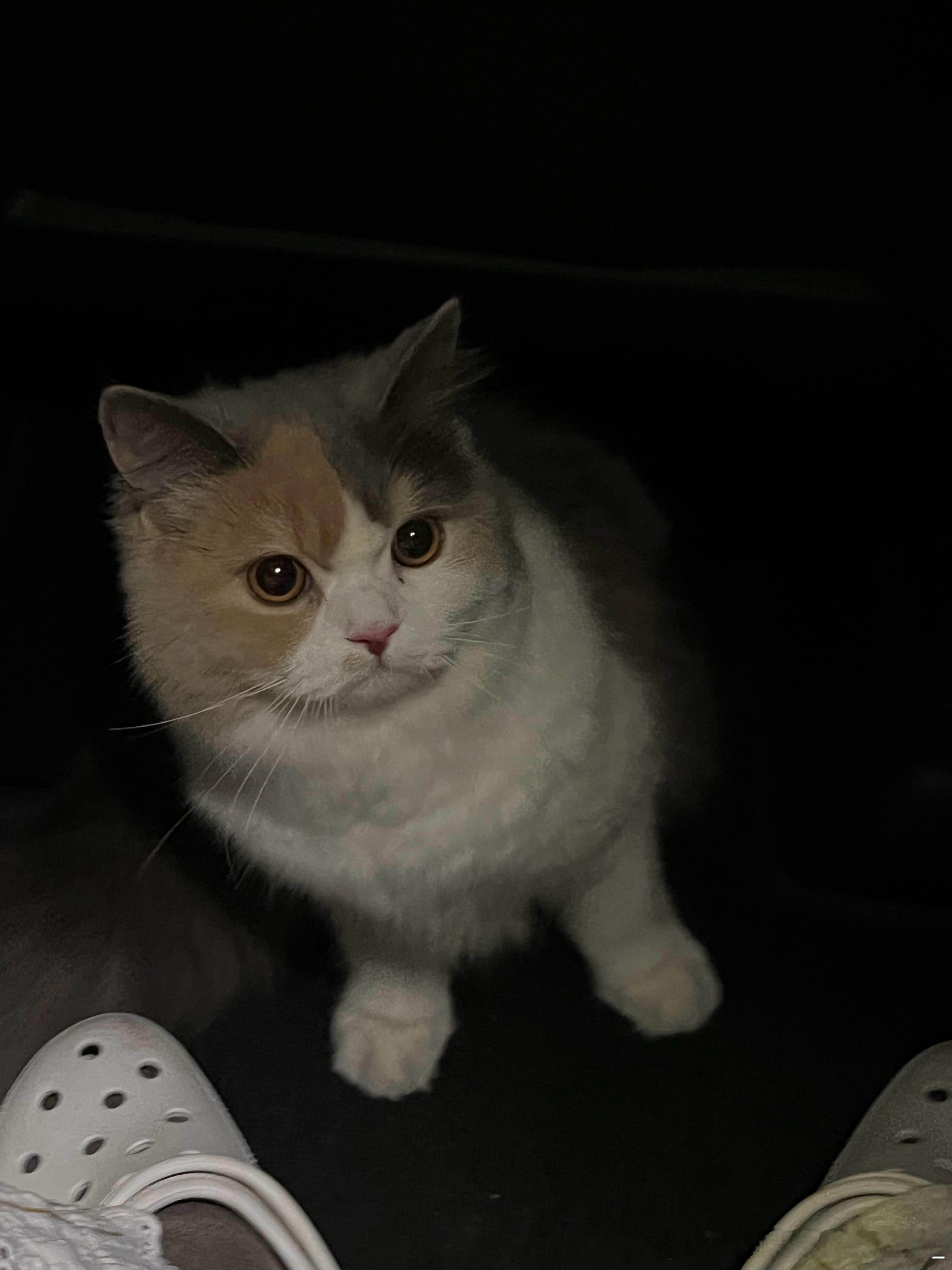 好愤怒啊小宝 [怒] ​​​