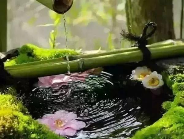 #情爱日记[超话]#             《无题》萧瑟蒹葭浦，黄云橘柚洲。几