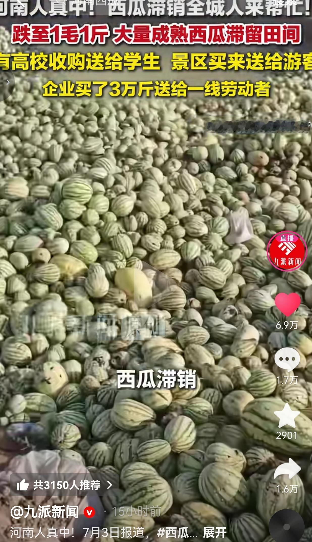 西瓜低至1毛一斤滞销田间，河南各界自发暖心助农，满满城市温情
 
丰收未必全是喜