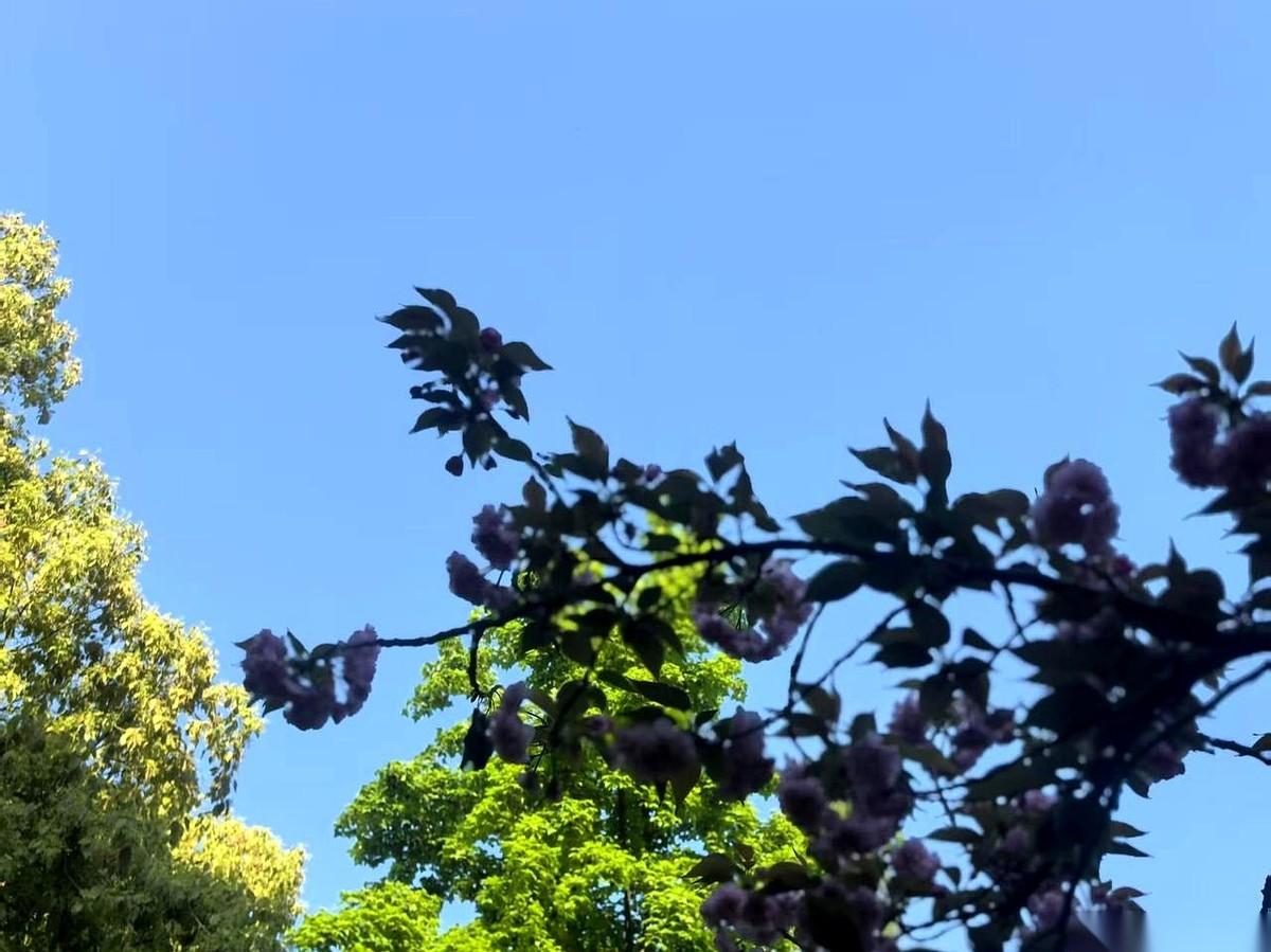 “这个，是我的。另一个，不是。”
男人把一张 crumpled 纸拍在桌上，指着