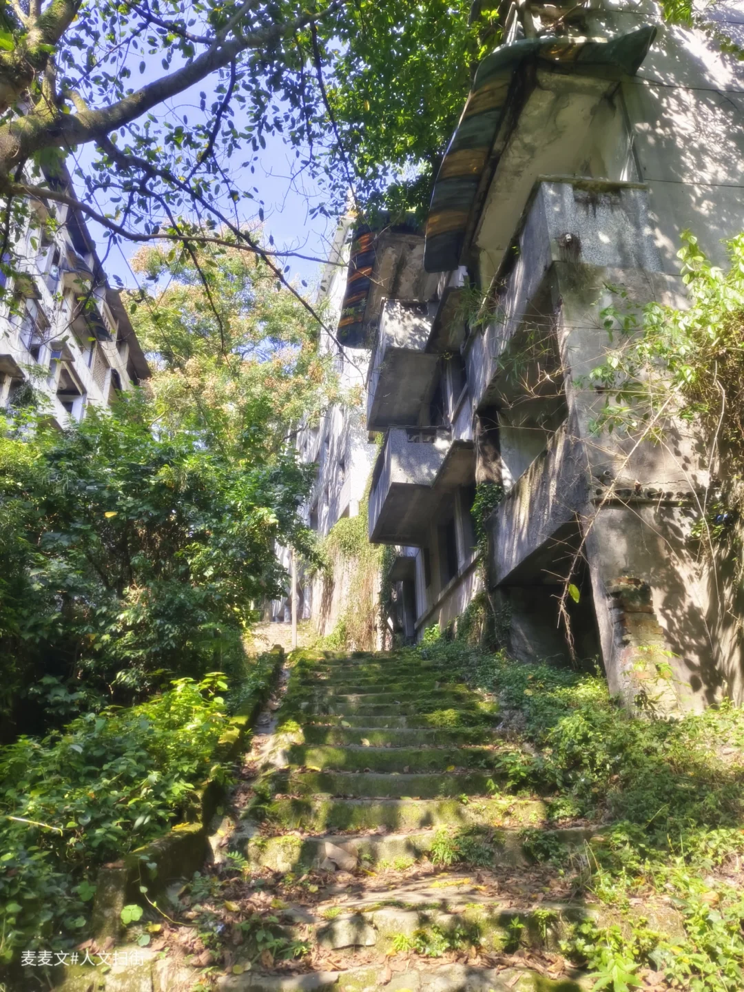 【巴南】人去楼空处，自然绘就的诗意废墟!