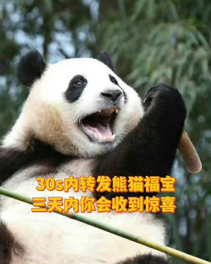 三天内，你会收到意外惊喜！ 