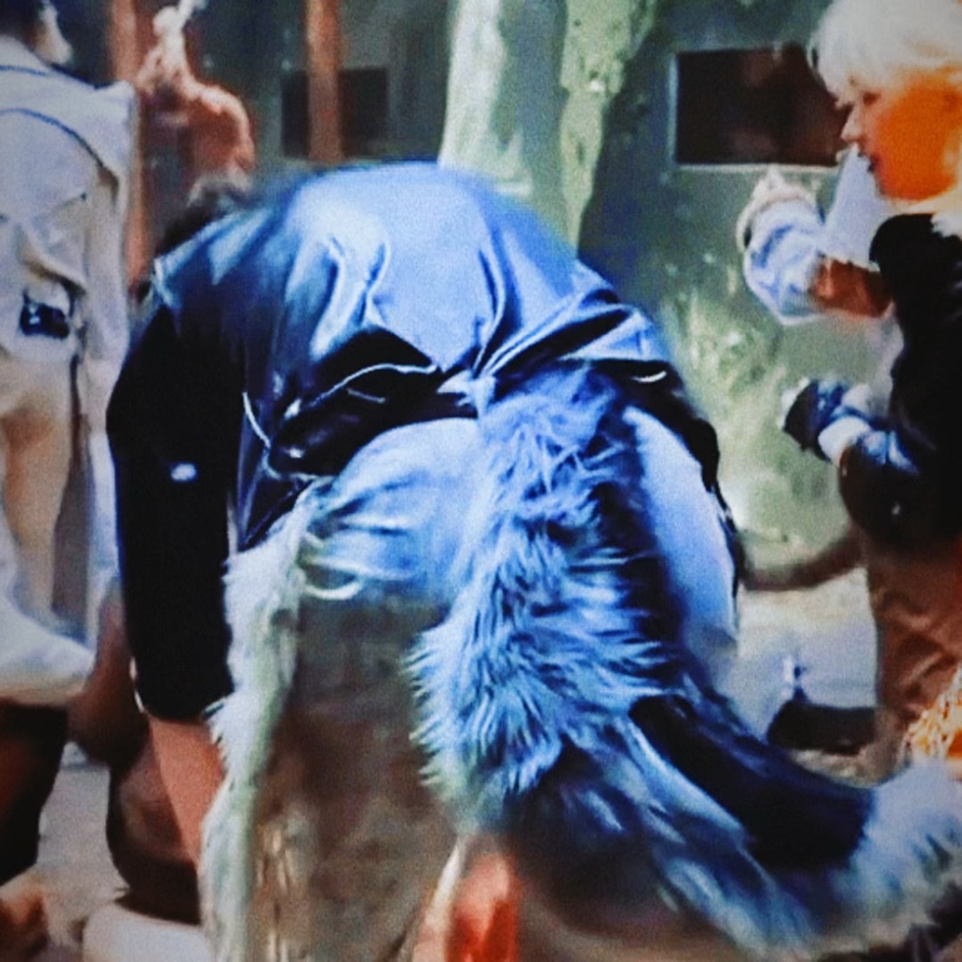 🐺王的尾巴    老大了…………刘宇宁摩登兄弟