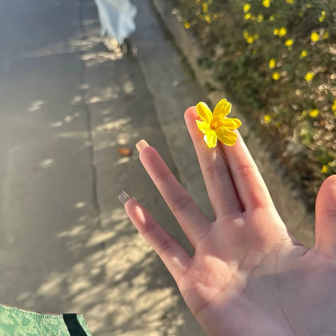 ᴬⁿʸʷᵃʸ, ˢᵒᵒⁿᵉʳ ᵒʳ ˡᵃᵗᵉʳ ʸᵒᵘ ʰᵃᵛᵉ ᵗᵒ ᶠᵃˡˡ