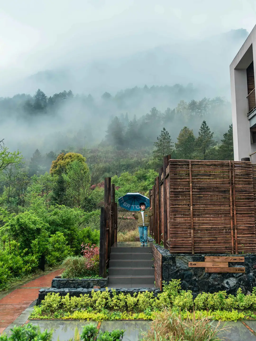 重庆旅游！云海翻涌，这风景谁不爱⁉️